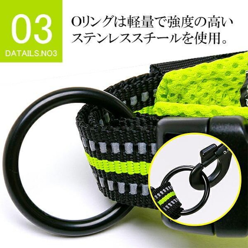 犬用首輪 4
