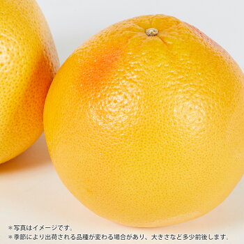 こだわりルビーグレープフルーツセット 2