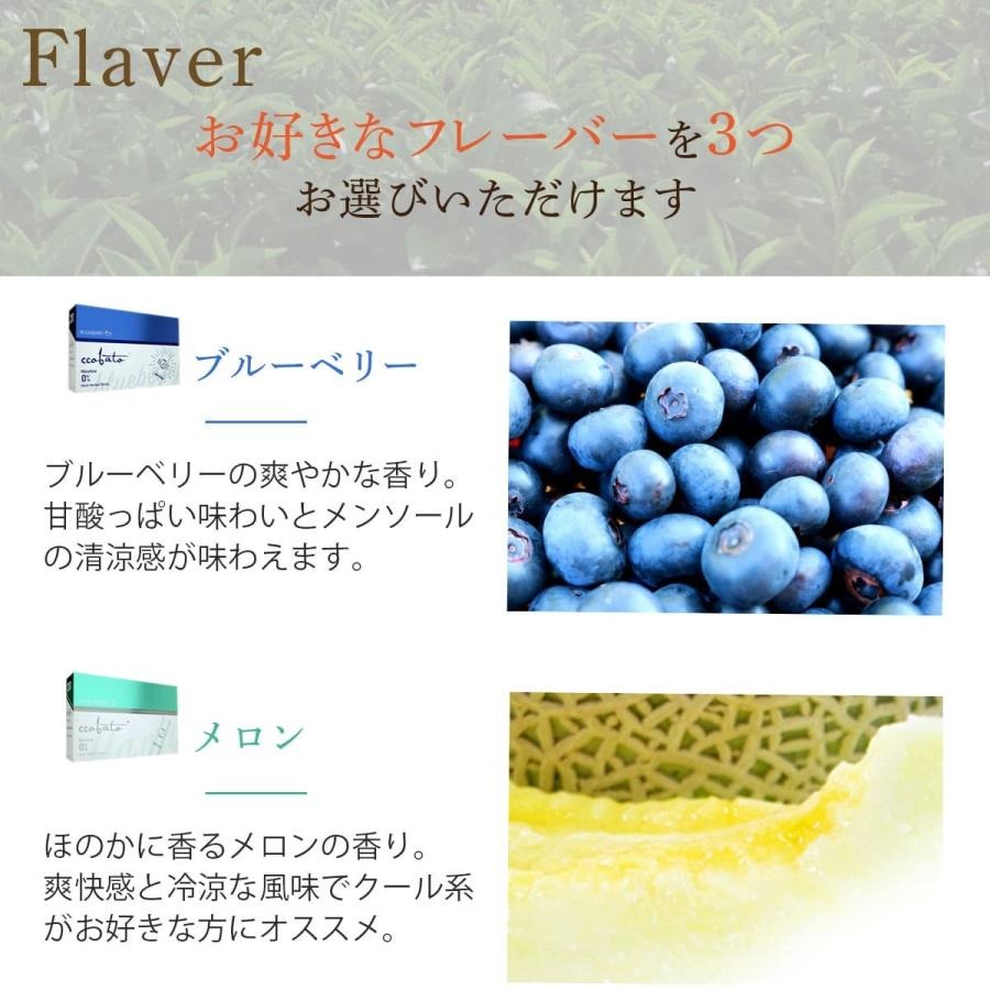 ブルーベリー 4