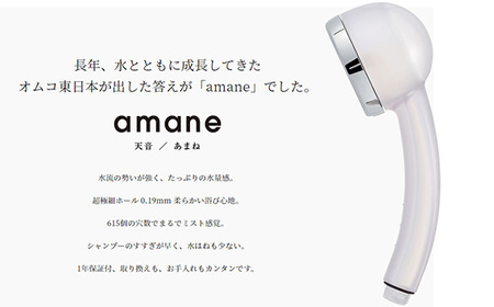 amane スタンダード 2