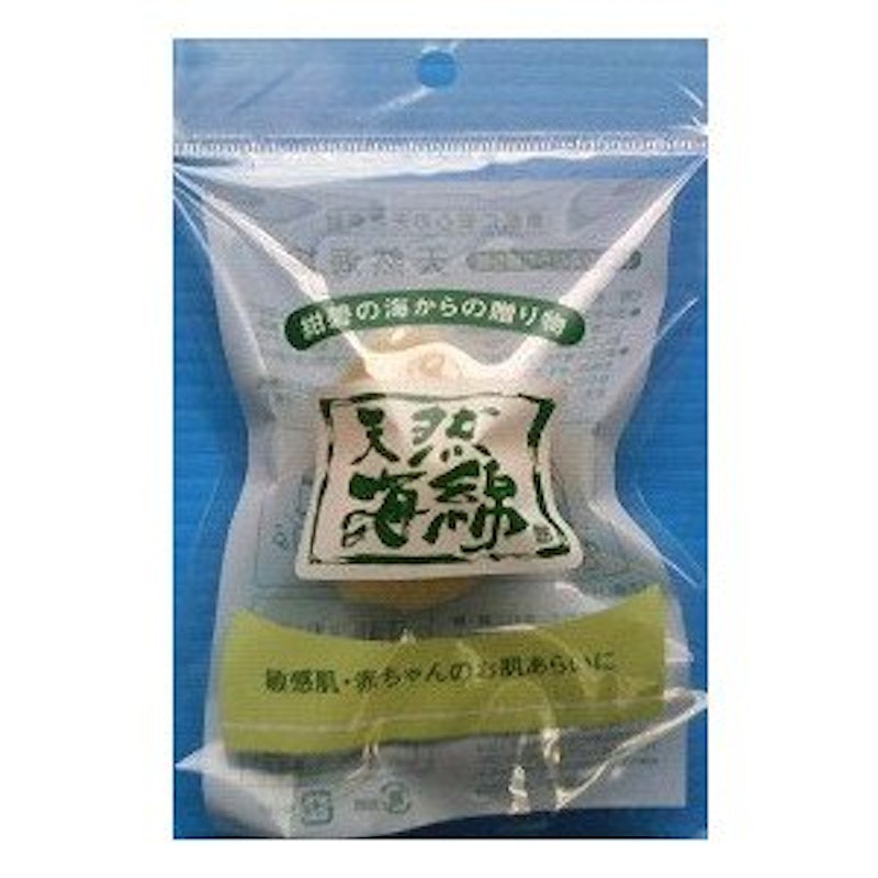 天然海綿 1