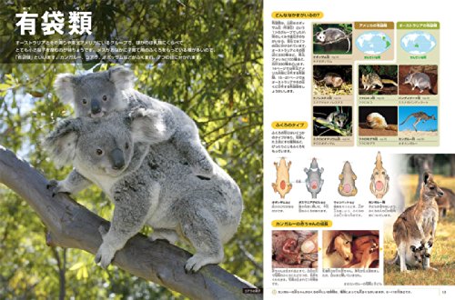 小学館の図鑑NEO 動物 2