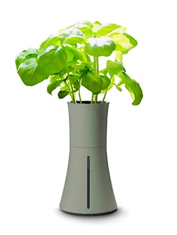 23年 水耕栽培キットのおすすめ人気ランキング46選 Mybest 23年 水耕栽培キットのおすすめ人気ランキング46選 Mybest