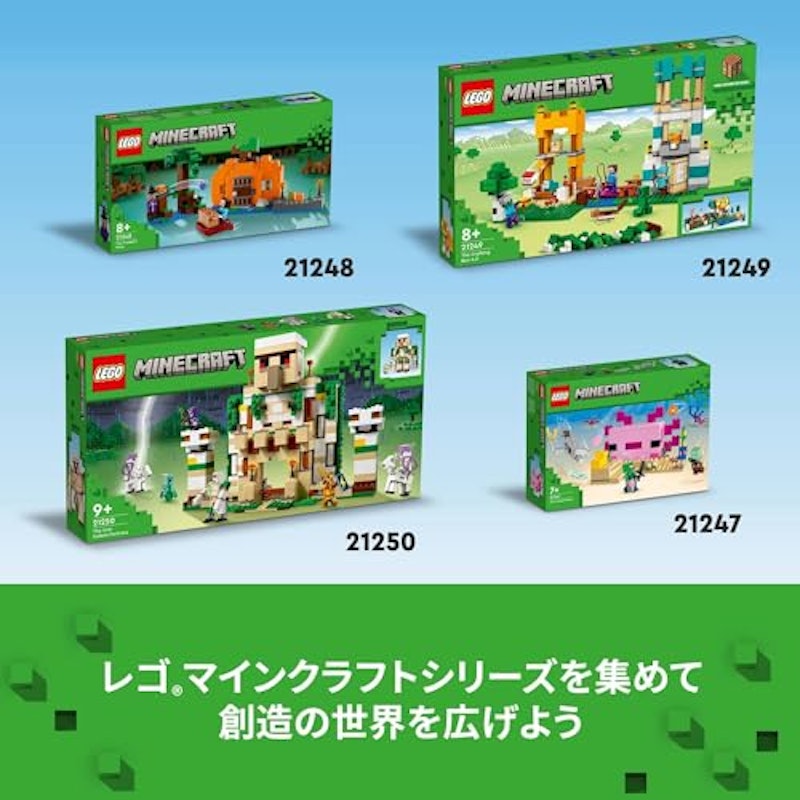 かぼちゃ畑 8