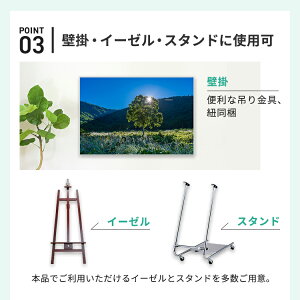 イレパネビューカバー 6