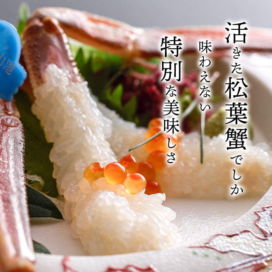 兵庫県水揚げ 松葉ガニ 3