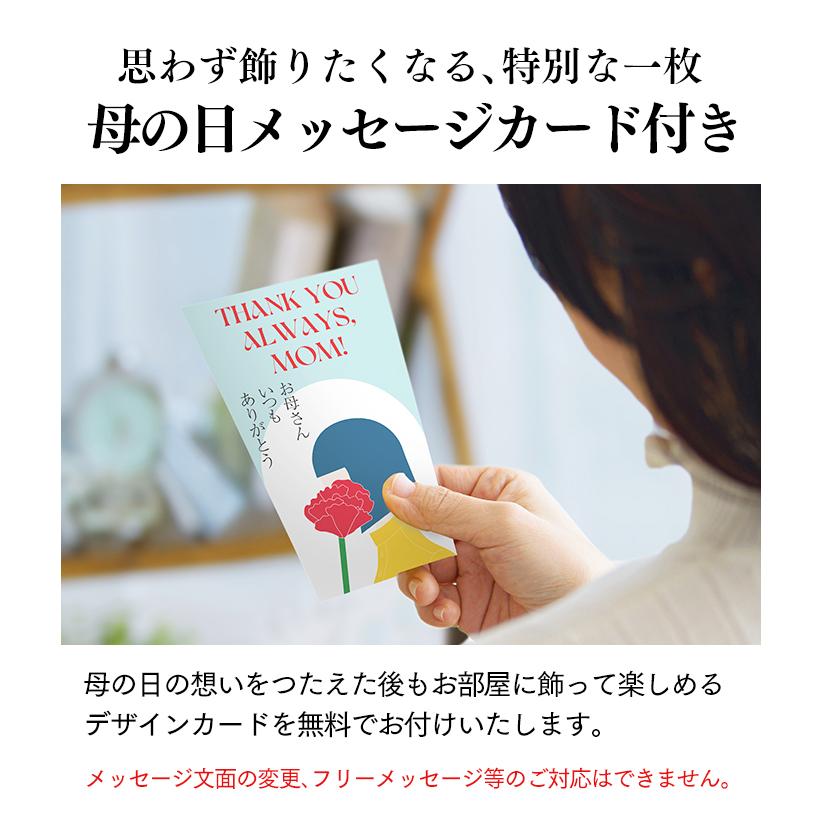 まごころ 選べる 和菓子セット 7