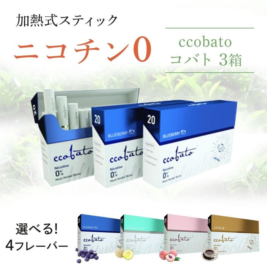 ブルーベリー 1