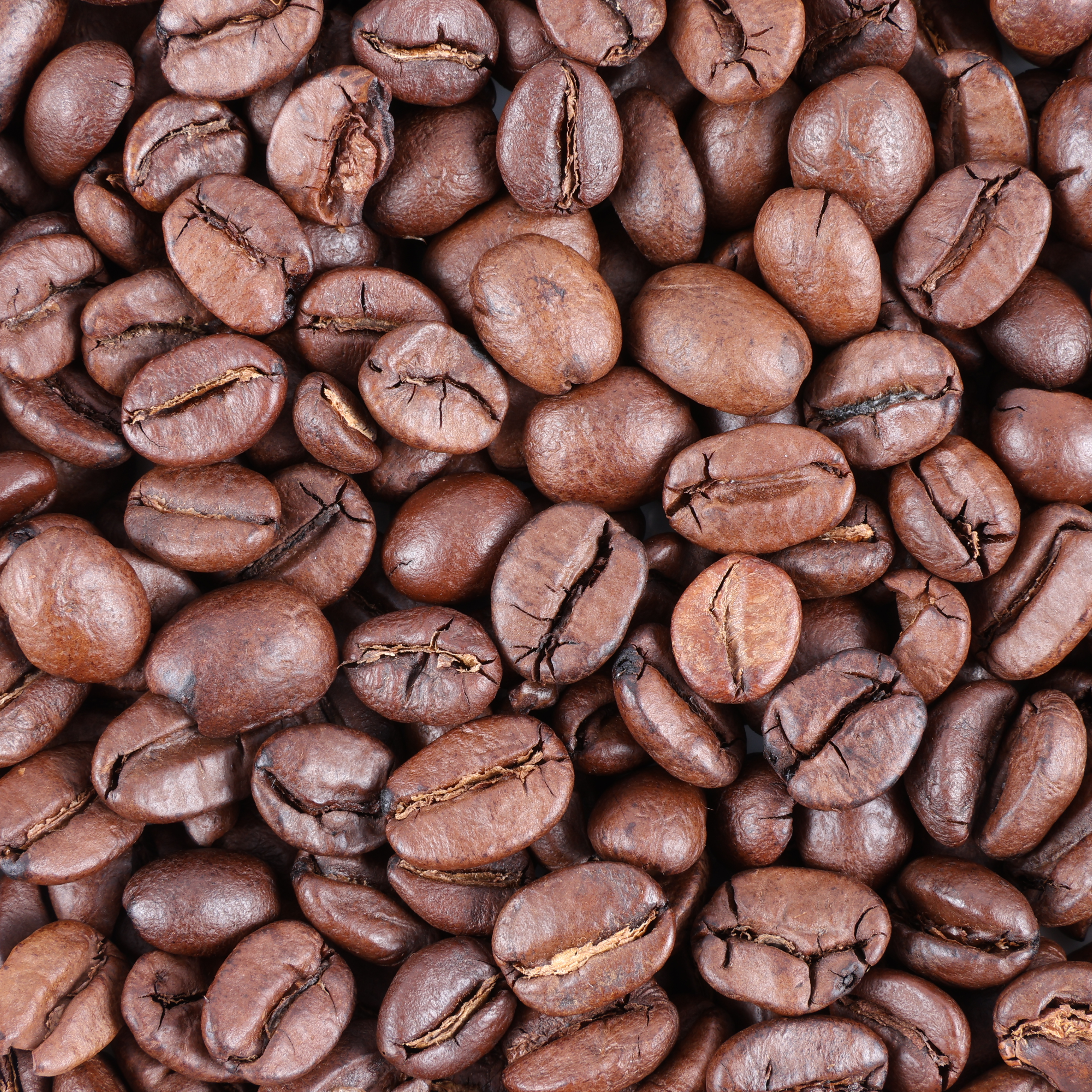 デロンギコーヒー豆　Musetti PARADISO コーヒー豆 500g✖️6袋 Musetti PARADISO コーヒー豆 500gx6 MusettiのPARADISO、500gの