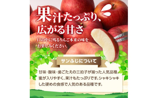 特別栽培 訳あり 家庭用サンふじ 鈴木果樹園 4