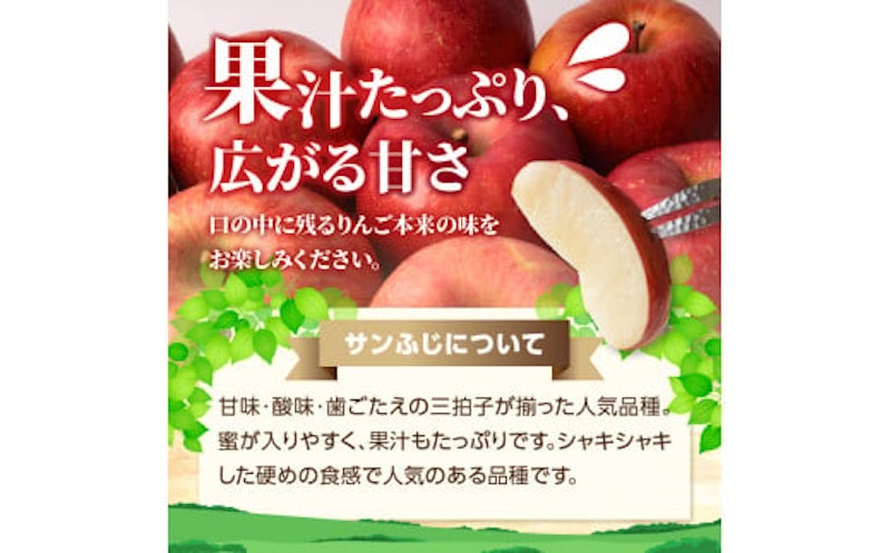 特別栽培 訳あり 家庭用サンふじ 鈴木果樹園 4
