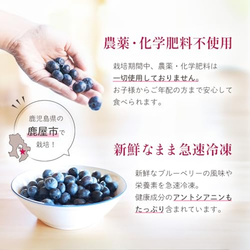冷凍ブルーベリー 3