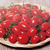 家庭菜園向け野菜のおすすめ人気ランキング【2026年7月】 5