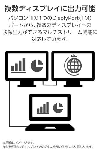 DisplayPortケーブル 6