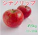 長野県 豊丘村 シナノリップ 1