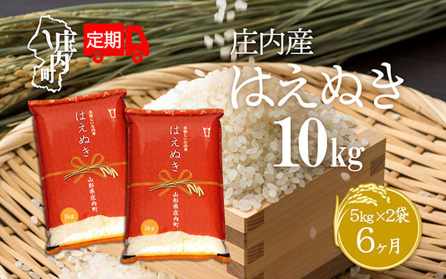 庄内米6か月定期便 はえぬき 10kg 1