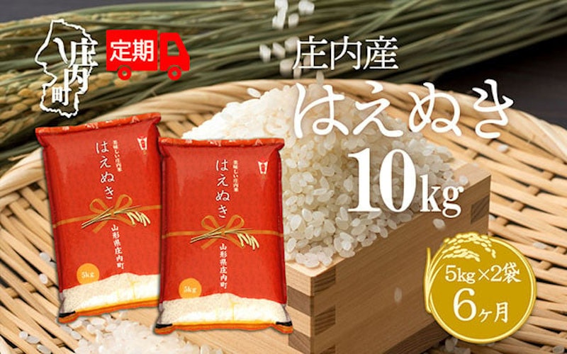 庄内米6か月定期便 はえぬき 10kg 1