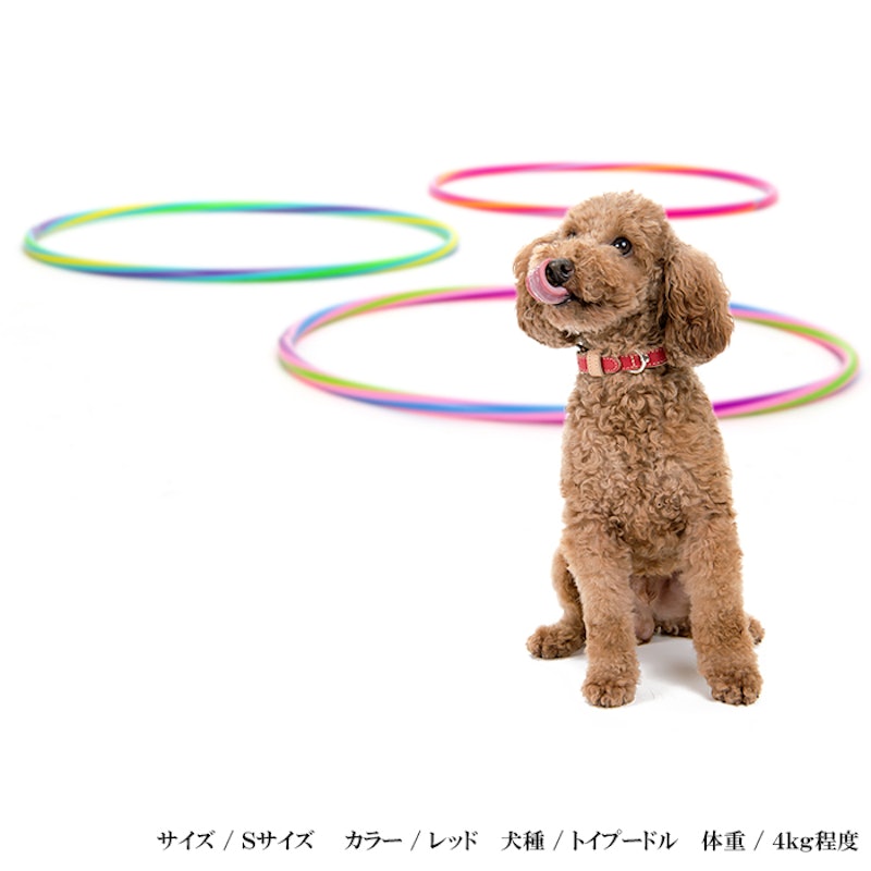 シンプルベーシック首輪 3