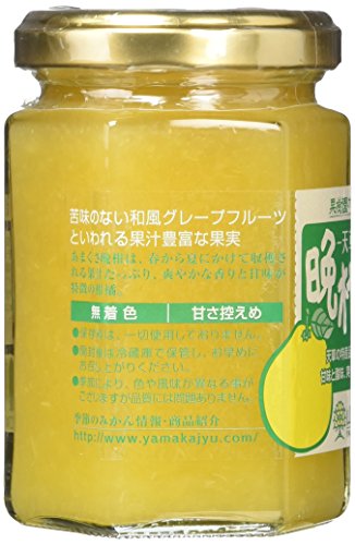 天草晩柑ジャム  2