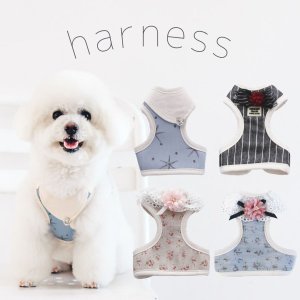 22年 かわいい犬用ハーネスのおすすめ人気ランキング40選 Mybest