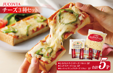 ムラカワチーズ 人気チーズ 3種セット 1