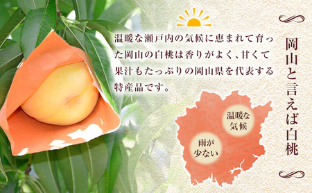 岡山県産 加納岩 白桃 3