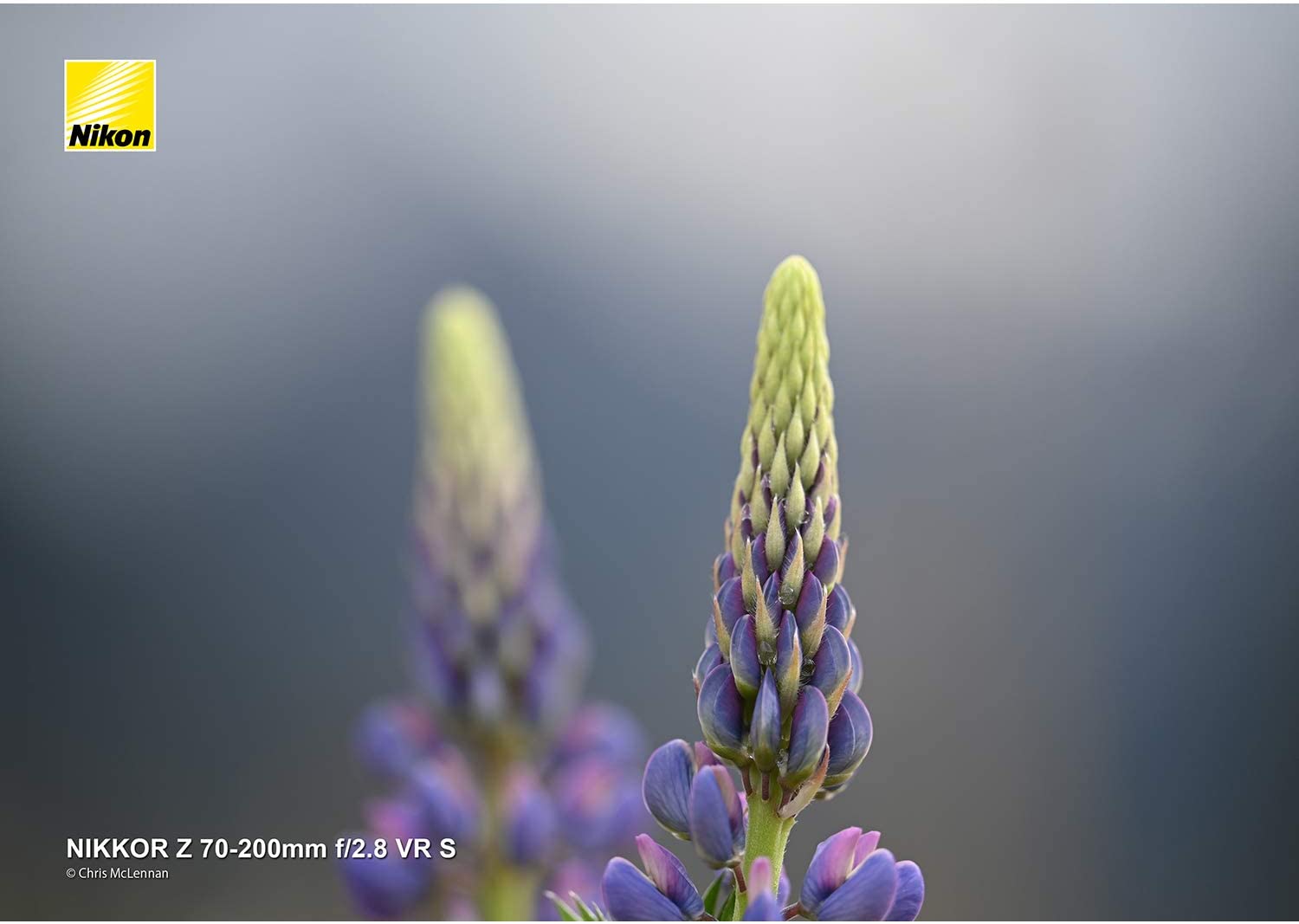 NIKKOR Z 70-200mm f/2.8 VR S 6