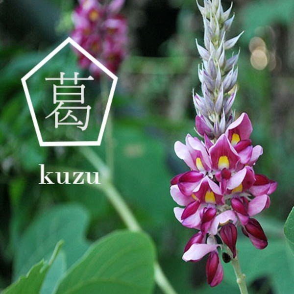 華しぼり 吉野本葛のくず湯 おしるこ葛湯 2