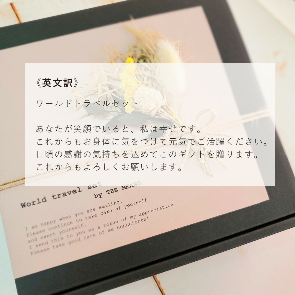 ワールドトラベルセット 19