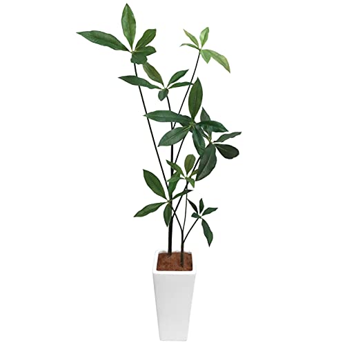 22年 フェイクグリーンのおすすめ人気ランキング10選 Mybest