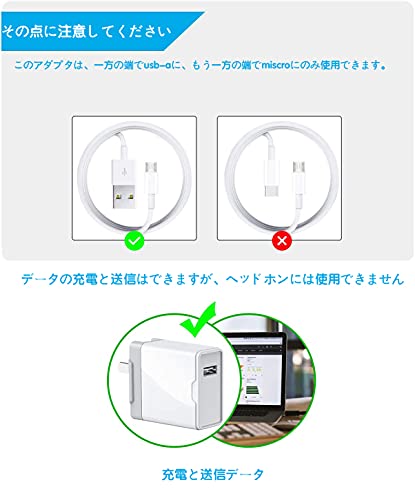 Micro USB to Lightning 変換アダプタ 2