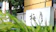 梅月 下諏訪温泉 旅館 梅月 1