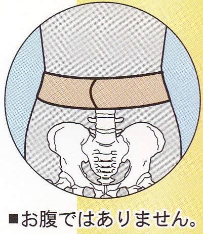 骨盤ゴムバンド 2