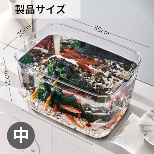金魚鉢 6