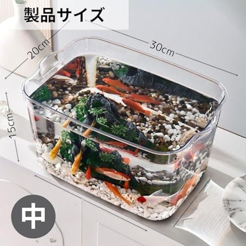 金魚鉢 6