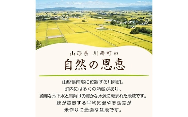 山形県産 つや姫 玄米 4