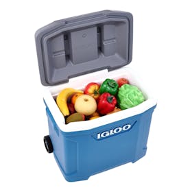Igloo Products ラティ 30QTを検証レビュー!クーラーボックスの選び方も紹介 3