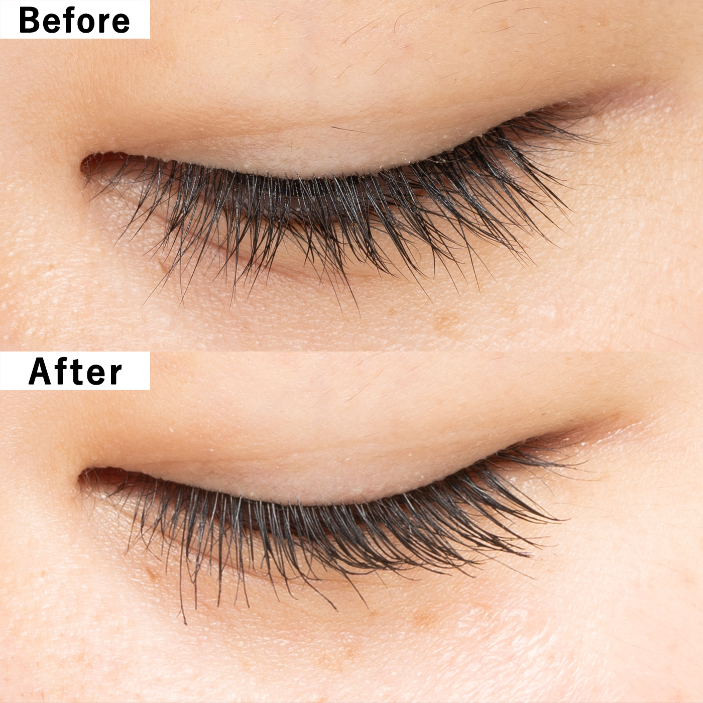 エレガンス　フルエクステンションマスカラ エレガンス / フルエクステンション マスカラの公式商品情報