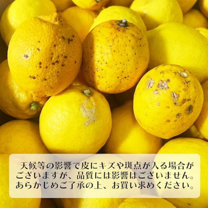レモン 国産 訳あり 3