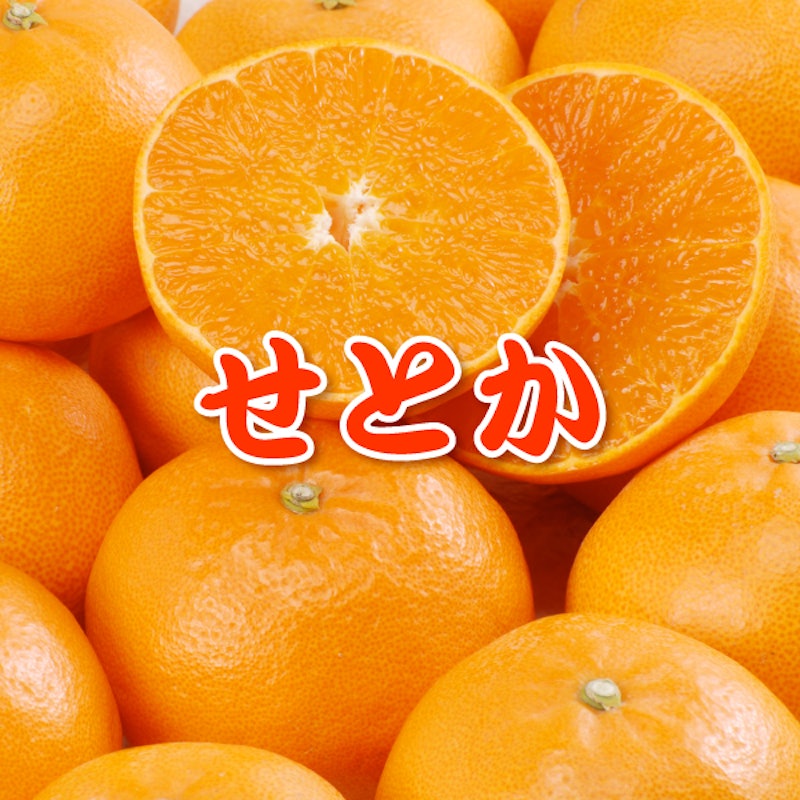 せとか 1