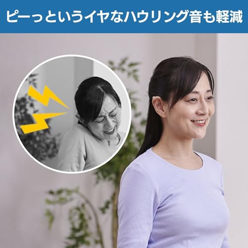 耳かけ型補聴器 4