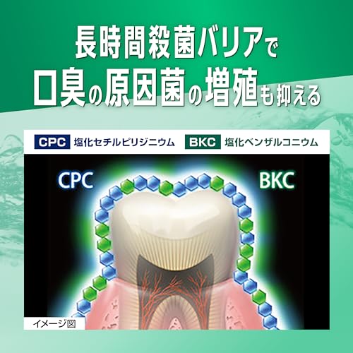 デンタルリンス レギュラータイプ 6