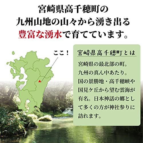 棚田米 ひのひかり（白米） 6