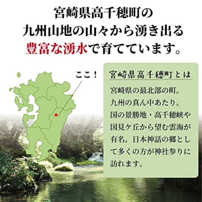 棚田米 ひのひかり(白米) 6