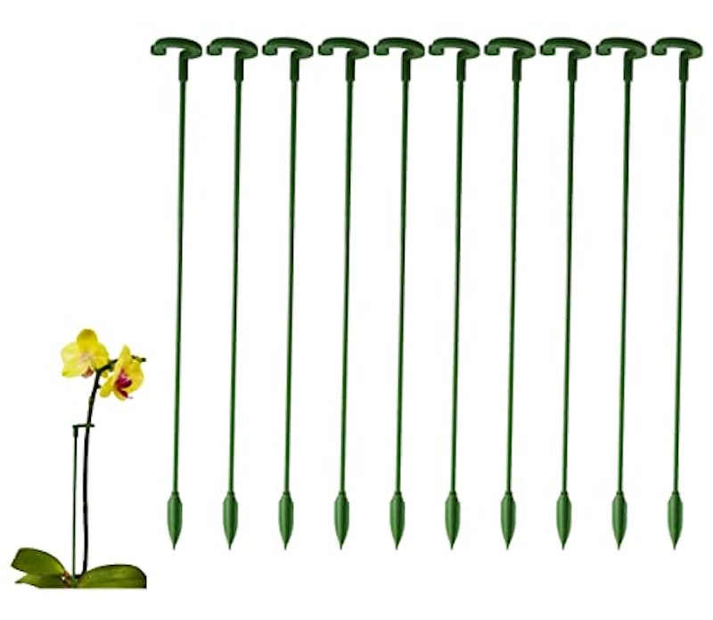 植物支柱 1