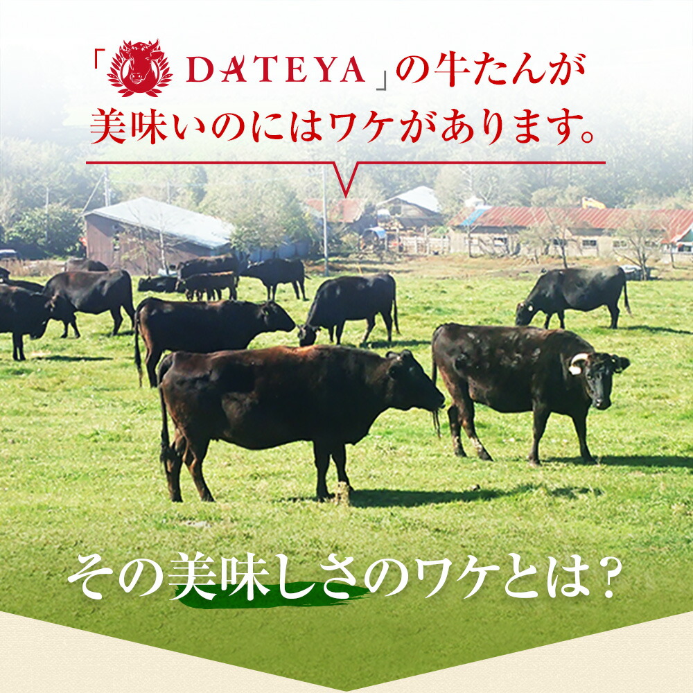 DATEYA 牛タン 3