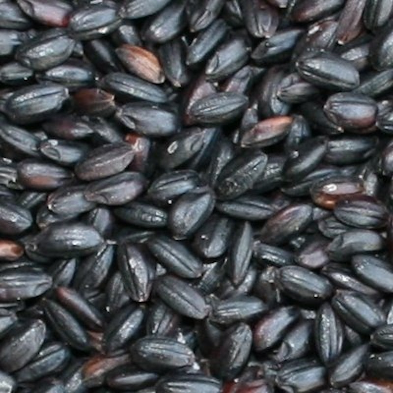 黒米 3
