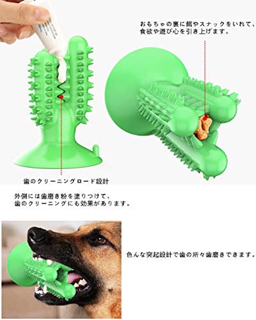 21年 犬用歯磨きおもちゃのおすすめ人気ランキング10選 Mybest