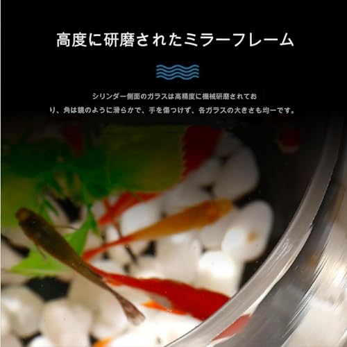 金魚鉢 4