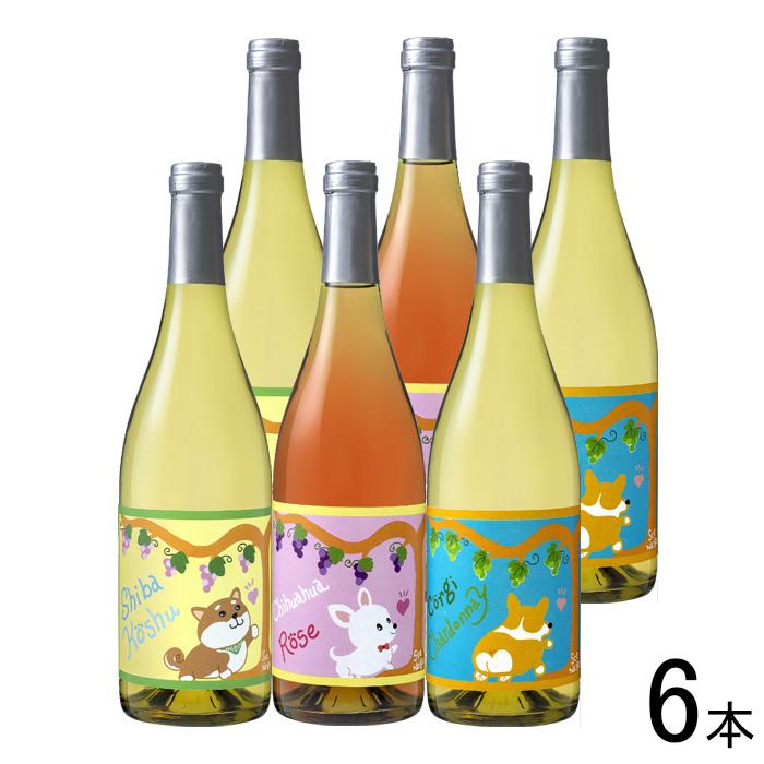 北海道の人気ワイナリーから泡の6本セットです みち 